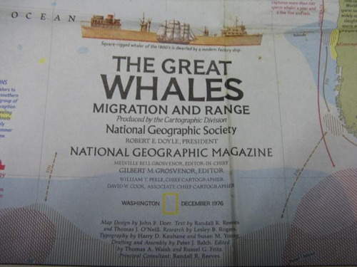 Mercurio Peruano: Mapa Nat Geographic Ballenas 1976 F6 L175