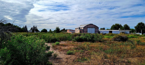 Venta Casa Galpon Y Gran Terreno San Rafael Mdz