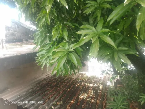 Casa Antiga Mas Com Potencial De Aluguel