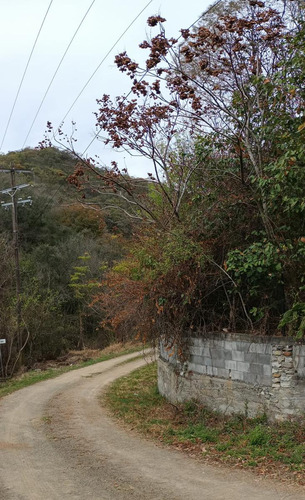Terreno En Venta Campestre El Barro Carretera Nacional
