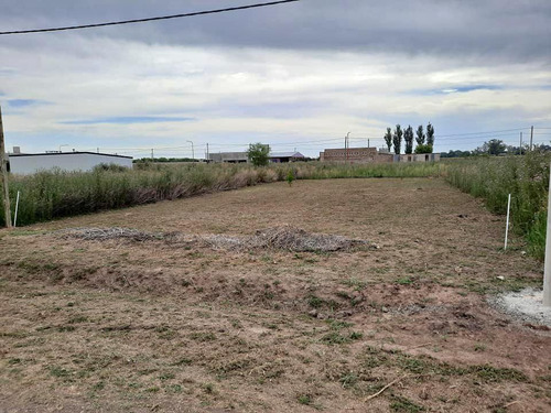 Imagen 4 de 10 de Terreno - Pujato Norte
