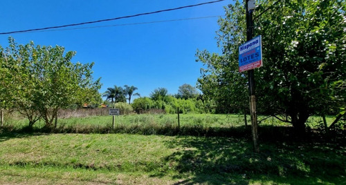 Imagen 11 de 26 de Terrenos/fracciones/loteos Loteos - Venta