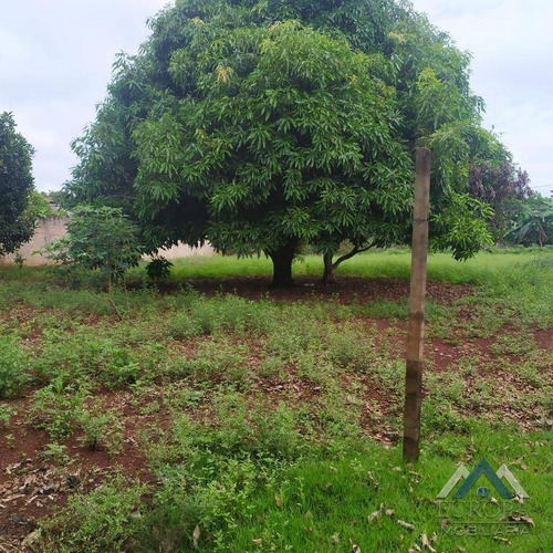 Imagem 25 de 30 de Chácara No Dom Pedro I, Com 2 Dormitórios À Venda, 10010 M² Por R$ 768.000 - Dom Pedro I - Londrina/pr - Ch0159