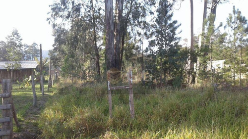 Imagem 2 de 3 de Terreno Bem Localizado No Parque Florestal - Te0295