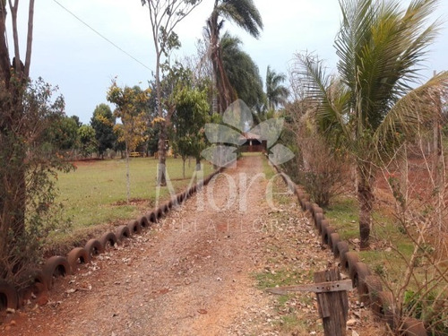 Imagem 4 de 30 de Chácara 11.000m² Em Engenheiro Coelho - Ch00014 - 33452159