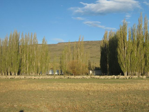 Inmobiliaria Comodoro - Estancia Productiva Próxima A Gobernador Gregores
