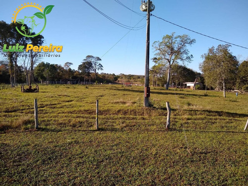 Imagem 1 de 5 de Fazenda À Venda Em Dois Irmãos Do Buriti - Ms - De 543 Hectares (pecuária) - 1704