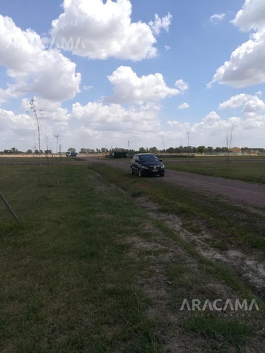Imagen 5 de 7 de Fincas De San Vicente - Laguna