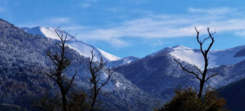Terrenos 5.000 M2 Sector Caracoles Malalcahuello