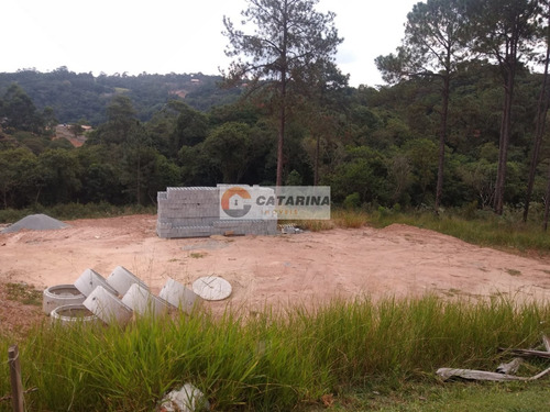 Imagem 4 de 9 de *** Terreno Dentro De Condomínio Fechado.***