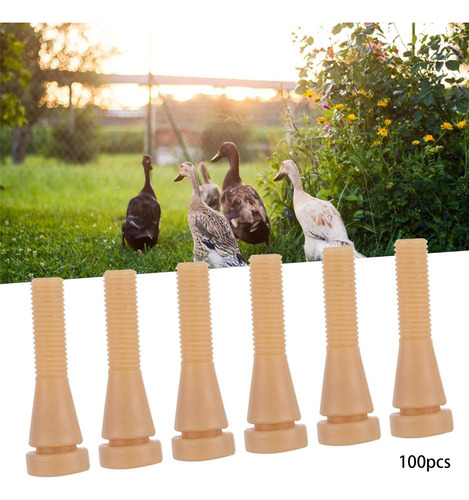 Yfyf 100pcs Vara De Remoção De Pelos De Aves Cor Da Pele
