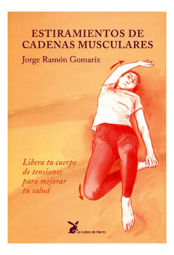 Estiramientos De Cadenas Musculares