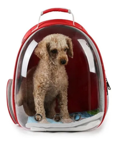 Imagen 7 de 8 de Mochila Bolso Mascotas Gato Perro Transparente Super Visión