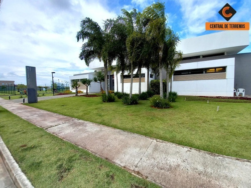 Imagem 14 de 28 de Terreno No Terras Alphaville - Te00271 - 34401629
