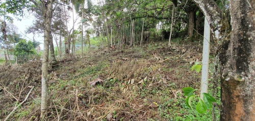Imagem 5 de 6 de Terreno À Venda, 1060 M² Por R$ 160.000,00 - Aralú - Santa Isabel/sp - Te0267