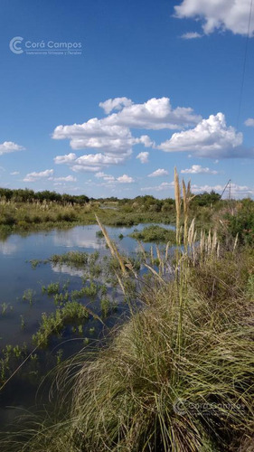 Se Vende Campo Ganadero En Mendoza, Rio Diamante. San Rafael.