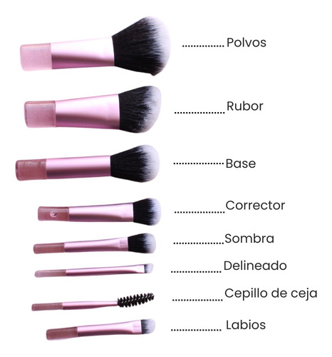 Set De 10 Brochas De Maquillaje Biotiks Con Estuche Compacto