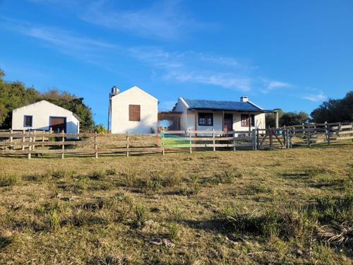 Imagen 20 de 20 de Chacra 14 Hás Con Casa Y Galpón Maldonado