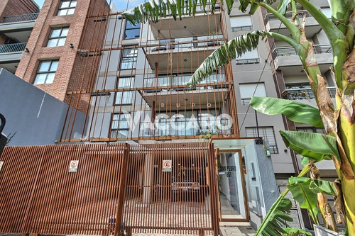Imagen 1 de 20 de Departamento - Castelar Norte