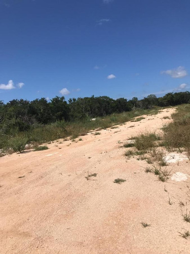 Imagen 3 de 6 de Terreno En Venta En Mérida 2 Hac Exelente Inversion A Corto Plazo - Carretera Mérida Progreso