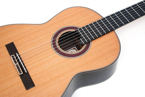 Guitarra Clasica Profesional Prudencio Saez 1ps(280)+case