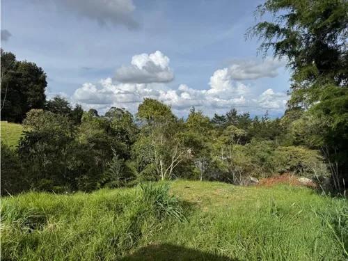 Lotes 1, 7 Y 9 Disponibles En Parcelación Alto De Las Palmas