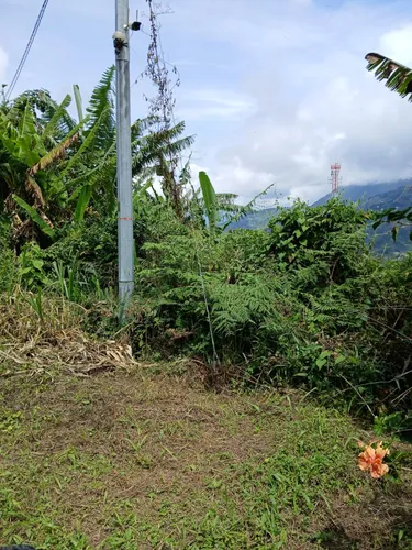 Se Vende Lote En Vereda La Frisola A 2 Km De La Salida Del Tunel Lado Occidente