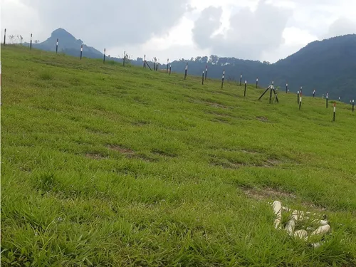 Lotes Venecia, Reserva Cámbulos Se Vende