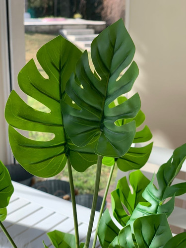 Imagen 9 de 10 de Planta Artificial Costilla De Adán Decoración 55 Cm