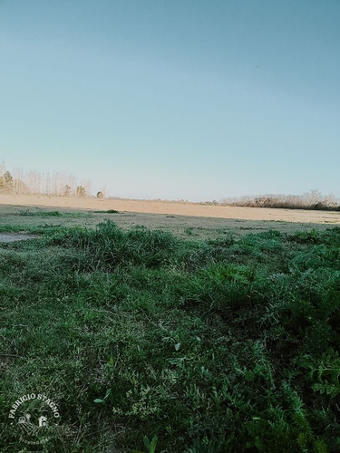 Venta Campo Mercedes - 6 Hectáreas Y Fracción - Zona La Florida