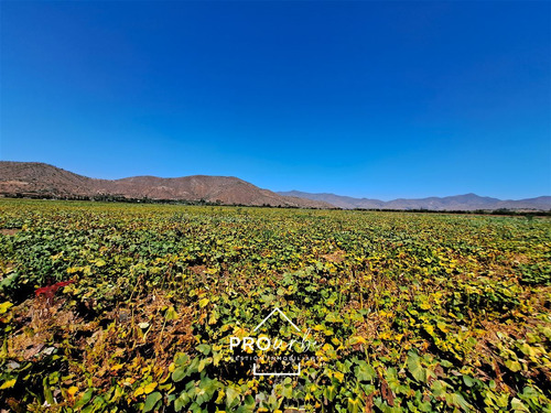 Gran Hacienda Curacavi 108 Hectáreas Parcelables Con Agua