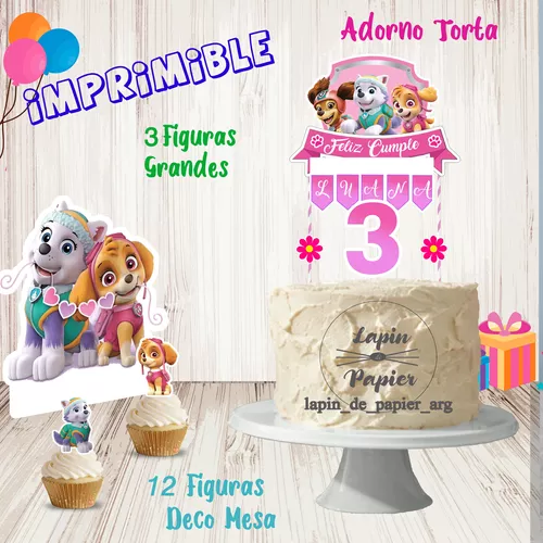 Adorno Sky Paw Patrol / Patrulla Canina Deco Torta Topper