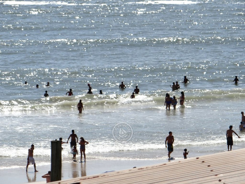 Narviz En Punta Del Diablo