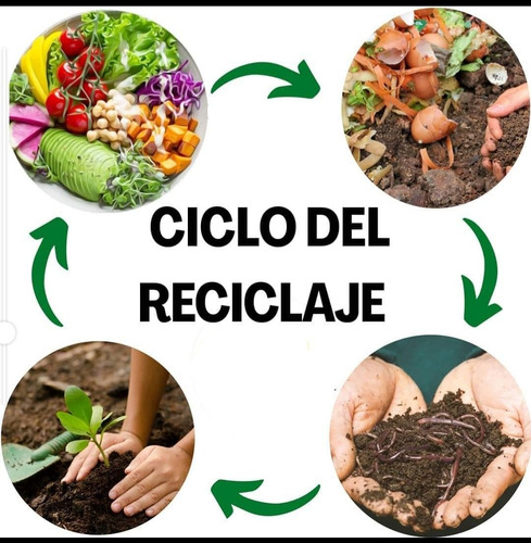 Imagen 4 de 8 de Lombriz Roja Californiana Para Bio Huertos Orgánico & Humus