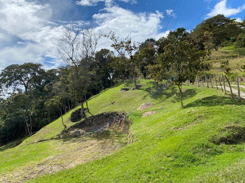 Lote Con Banqueo, Fácil Acceso Y Nacimiento De Agua