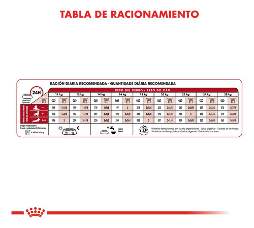 Alimento Royal Canin Perro Medium Senior +7 Medianos X 15kg
