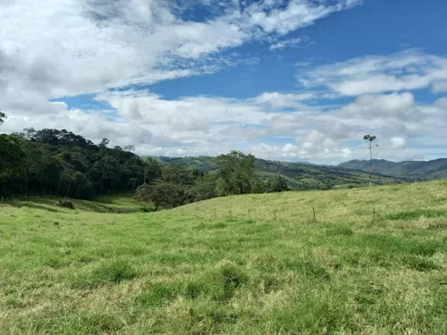 Vendo Finca Ganadera En Restrepo Valle