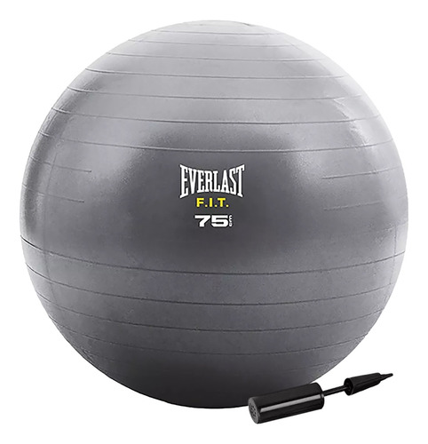 Pelota Esferodinamia Everlast 75 Cm + Inflador Reforzada Cuo