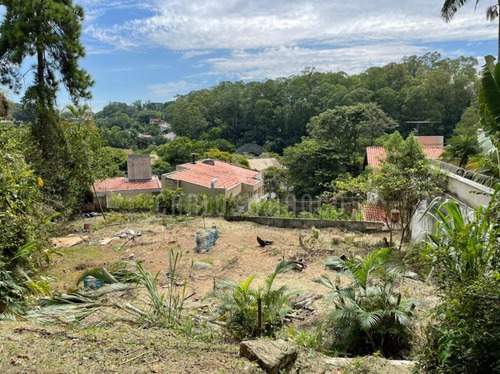 Terreno - Condomínio Vitoria Regia - Panamby - Cf64104