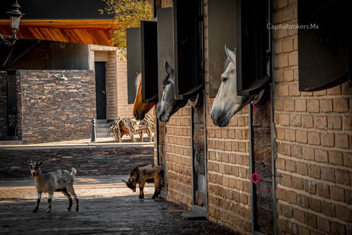 Rancho De Lujo Con Picadero Y Salon De Eventos En El Sur De Zm Guadalajara