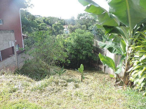 Imagem 8 de 16 de Terreno À Venda, 540 M² Por R$ 300.000,00 - Fazendinha - Carapicuíba/sp - Te0459