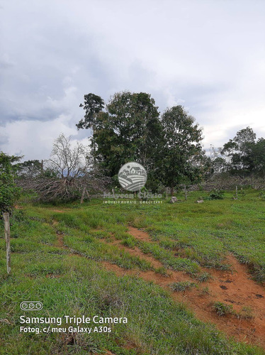 Imagem 5 de 11 de Venda Sítio Vale Do Anari Em Rondônia - Sig309