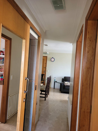 Imagem 12 de 20 de Germânia Apartamento 3 Dormitórios 65 M² - Ap00059 - 68582697
