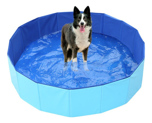 Pet Pool Dogs Pool Cat Sand Table