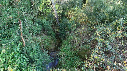 Campo En Venta Inversionista Pitrufquen (104143)