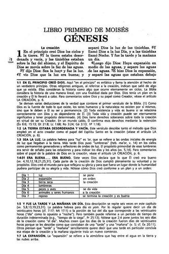 Imagen 6 de 8 de Biblia De Estudio Vida Plena Piel Reina Valera 1960