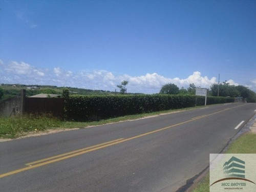 Imagem 5 de 12 de Granja A Venda Pium