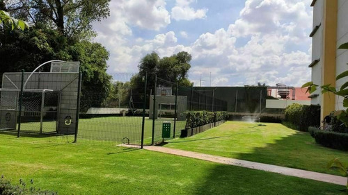 Imagen 19 de 20 de Departamento En Venta Coyoacán