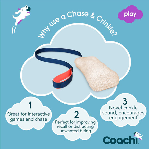 Juguete Para Perros Chase Crinkle, Suave Y Divertido