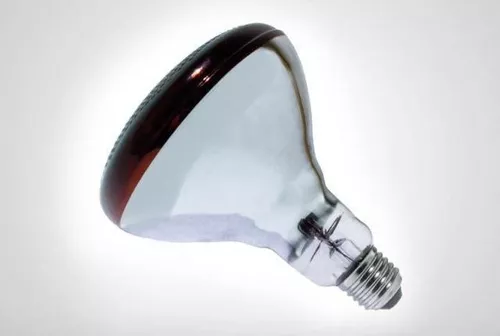 Paciencia Enorme Conversacional Lámpara Infrarroja 250w Luz Roja Kinesio Masaje Emite Calor